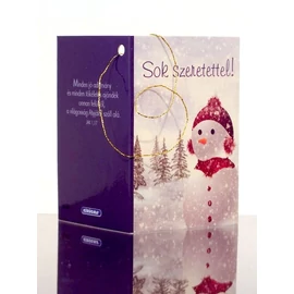 Karácsonyi ajándékkísérő (A4)