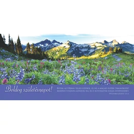 Képeslap borítékos (f03) - Boldog születésnapot (fekvő)