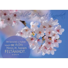 Képeslap húsvéti csomag (hus2) (30db/csomag)