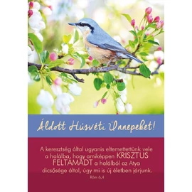 Képeslap húsvéti csomag (hus4) (30db/csomag)