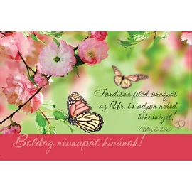 Minikártya csomag (T31)