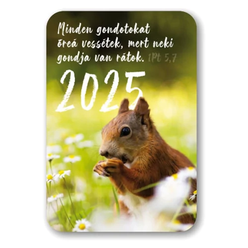 Kártyanaptár csomag 2025 (03) Minden gondotokat... (mókus)