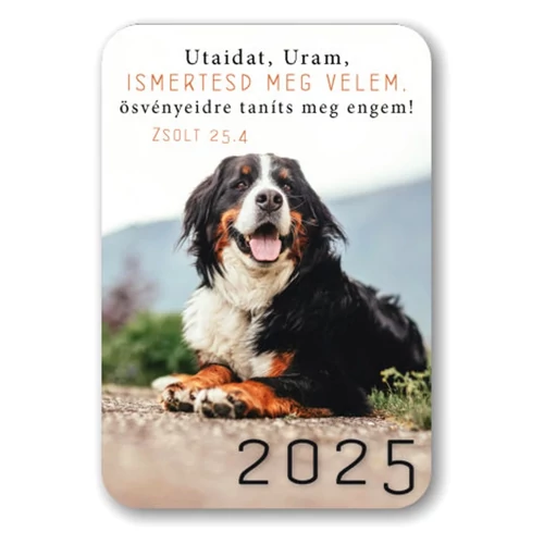 Kártyanaptár csomag 2025 (05) Utaidat, Uram, ismertesd meg velem (kutya)